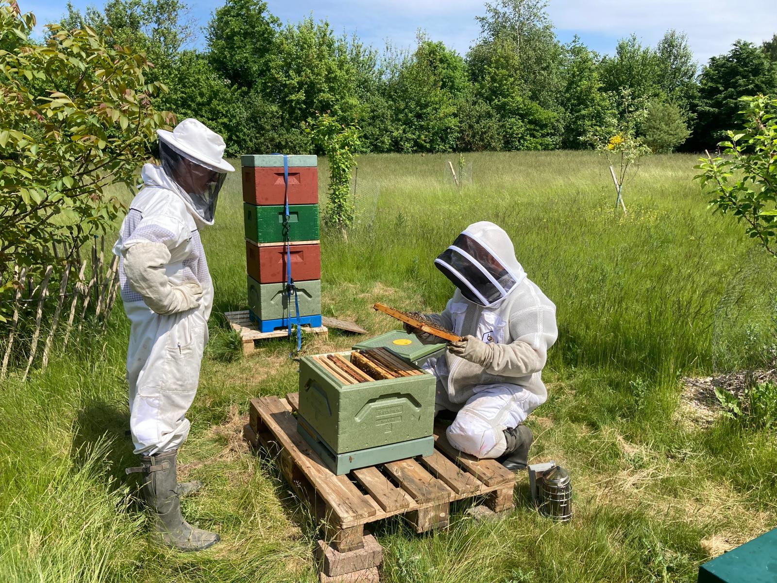 Biavl arbejde i marken