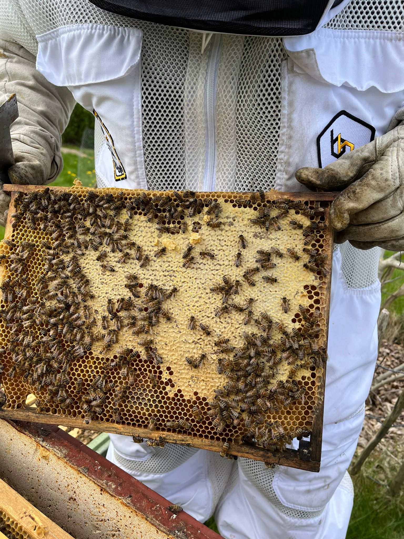 Bier i glas med vokstavle